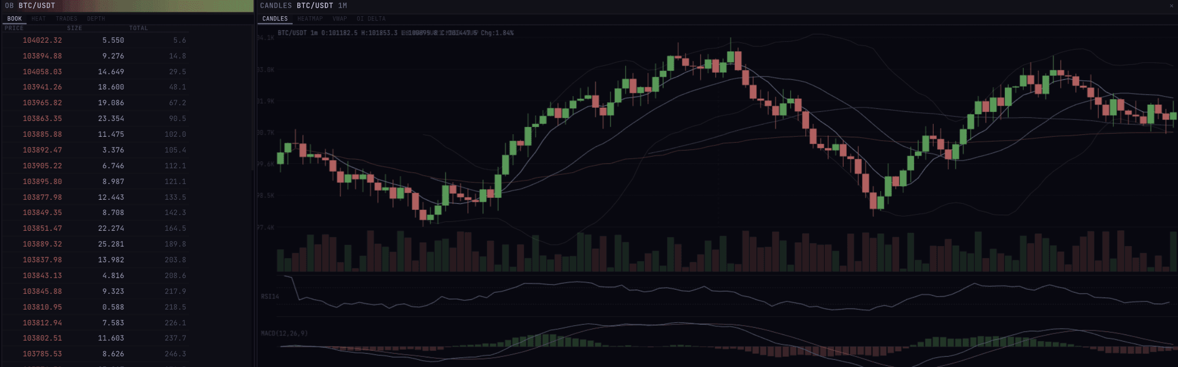 Market-structure panels in the Skilt environment: an order book for BTC against a candlestick chart with volume.